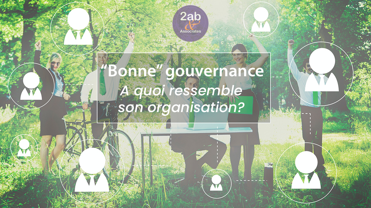 Bonne Gouvernance : A Quoi Ressemble Son Organisation? - Blog De La ...